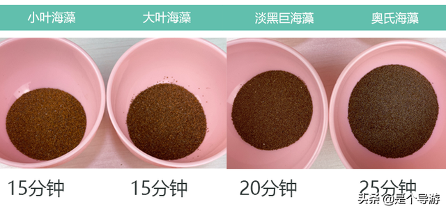 海藻面膜适合什么皮肤用 2026年海藻面膜适合什么人用