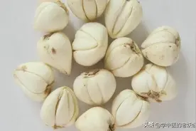 润肺止咳的良药——川贝母图片