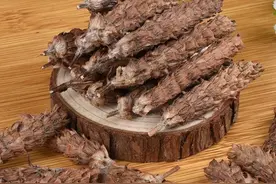 结节、增生、瘿瘤？夏枯草搭配一味药，作用翻倍，帮你轻松消散图片