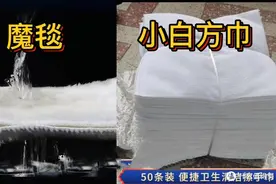 水族省钱避坑：水族用品省钱指南，看完能省好几百！图片