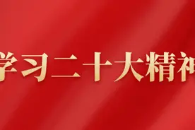 学习二十大精神｜遂宁公安局长谈感想图片