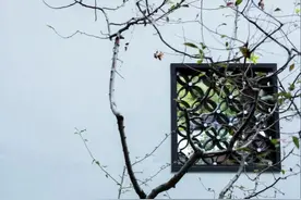 《道德经》：“三宝”引领世人图片