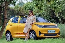 三、四轮电动车，有哪些品牌能放心买？这5个品牌在行业名列前茅图片