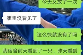 我与蟑螂战斗这些年图片