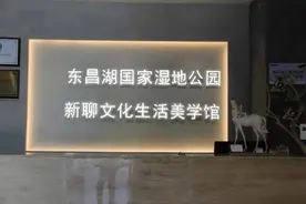 聊城这几个好玩的网红打卡地，去了离不开了图片