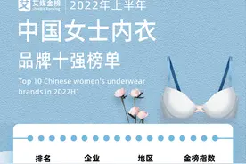 艾媒金榜｜2022年上半年中国女士内衣品牌十强榜单图片
