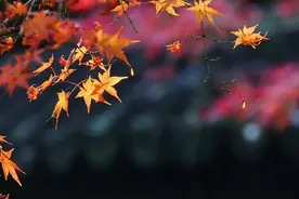 喜欢这样发朋友圈的人，大多人品不好，不管是谁都不要深交图片