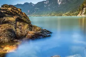 天生王者的星座图片