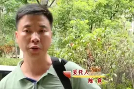 长达10年的爱情，男子为监视女友，在闹钟里装摄像头，刚好对着床图片