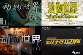 看过《动物世界》的人，都想问这个问题图片