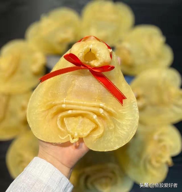 赤嘴鳘鱼胶是什么鱼 2026年赤嘴鱼胶是什么鱼取出来的图片