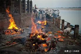 人体火化后，基因去了哪里？是否存在骨灰中？图片