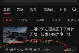 作品一直显示审核中，怎么办，其实可以加快审核哟图片