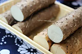 糖尿病肾病患者宜食山药，几个药膳方便又简单，学着自己做图片