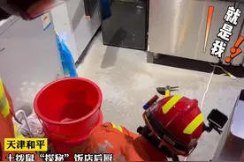 天津一饭店后厨惊现前来觅食的土拨鼠，消防员赶来用框抓走图片