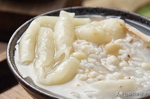 花胶可以煮粥 2026年花胶可以煮粥吗怎么煮