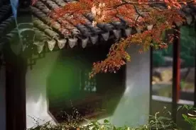 中国人保简介图片