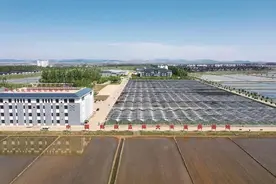 吉林市昌邑区：春耕掀热潮，绿色有机唱“主角”图片