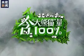 走！一起探秘国家公园丨验证完毕 大熊猫“含量”100%图片