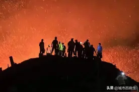 重庆缙云山：没有等来“巴山夜雨”，却因一场山火天下知图片