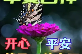 今日最新早上好表情动图，甜甜的问候，祝你开心每一天图片