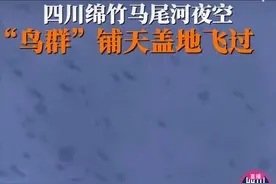 巧合还是前兆？四川震前罕现绵竹“鸟群”、蜉蝣群飞！有无关联？图片