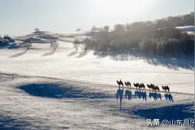 （历史知识）历史上的五篇檄文图片