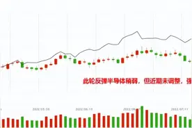 半导体上涨的逻辑是什么，有持续性吗？图片