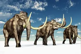 史前巨兽猛犸象图片
