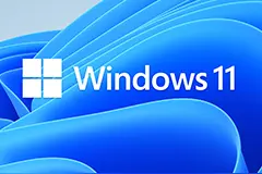 Win11 Dev预览版Build 25300发布：实时字幕功能支持中文图片