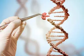 华裔科学家张锋的新“基因剪刀”到底多厉害图片