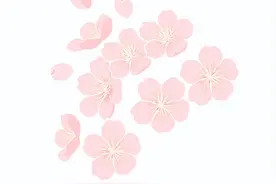 满“新”欢喜，社团等你——太原市实验中学校2023-2024学年学生社团招新活动图片
