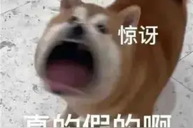 可爱表情包 | 真的假的图片