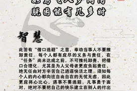 观音灵签 第九十八签图片