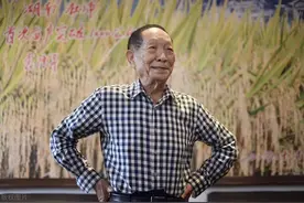 杂交水稻背后的故事，禾下乘凉终成真，天涯海角稻飘香图片