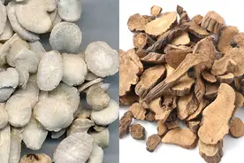 赤芍、白芍姐妹花，中医治病爱用它图片