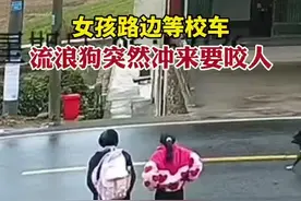 女孩路边等校车，流浪狗突然冲来要咬人图片
