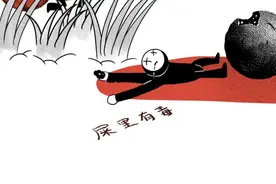 粪球与爱情！粪球滚得好，女朋友少不了，屎壳郎的传奇人生图片