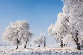 冬季国内这12个最佳赏雪地，每一个都让人着迷，快来看看吧图片