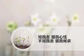 知我者，谓我心忧，不知我者谓我何求图片