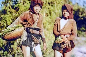 18张图观天下｜美国未成年的“少女妈妈”，“灭绝中心”的幸存者图片