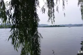 我为什么放弃对六爻的深入学习图片