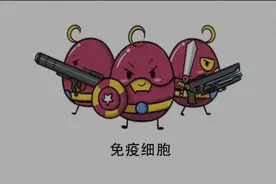 三分钟科普：病毒入侵后，你的身体都做了什么图片