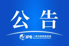 薪资待遇最高45万！三亚市投资促进局公开招聘公告（附应聘人员登记表）图片