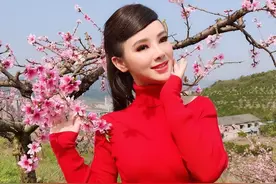 盲人歌手刘赛：倒贴2套别墅下嫁到河南农村，军人丈夫愿捐献眼睛图片