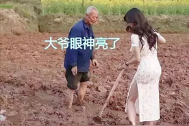 女网红穿旗袍下地干活，老农看完转身离开，网友：意图太明显图片