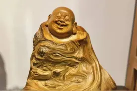 崖柏君禅生活（11）：财富自由的秘密图片