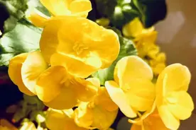 《丰盈浪漫的自然歌咏——与水有关的《楚辞》意境》图片