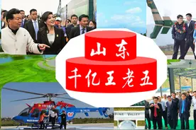 山东1100亿身家“钻石王老五”：坐拥6千亩庄园，4亿美元私人飞机图片