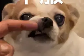 不服表情包图片